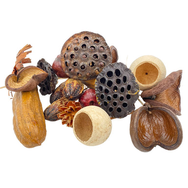 Deluxe Pod Assortment