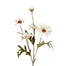 Fall Daisy - Bisque