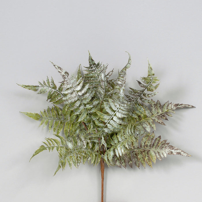 Leather Fern Bush Grey/Green