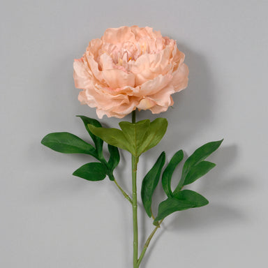 28" Polyester Large Cabbage Peony - Bisque