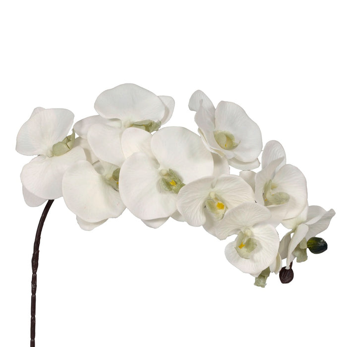 38" Polyester Phalaenopsis
