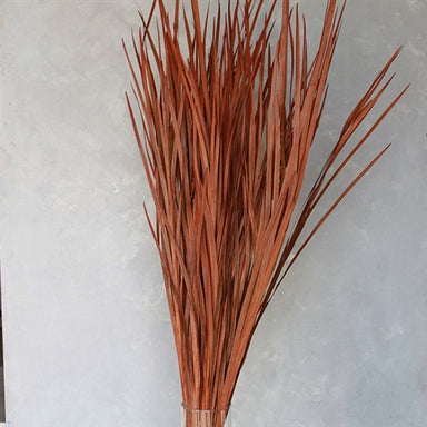 Wild Grass