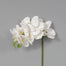28" 3D Phalaenopsis - White