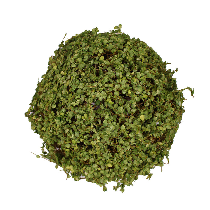 Baby Tear Orb 6.5 In Green