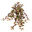 20 in UV Wandering Jew Hanging Bush - Burgundy/Green