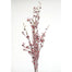 Berry Leaf Snow Bush-  34'' Red Natural