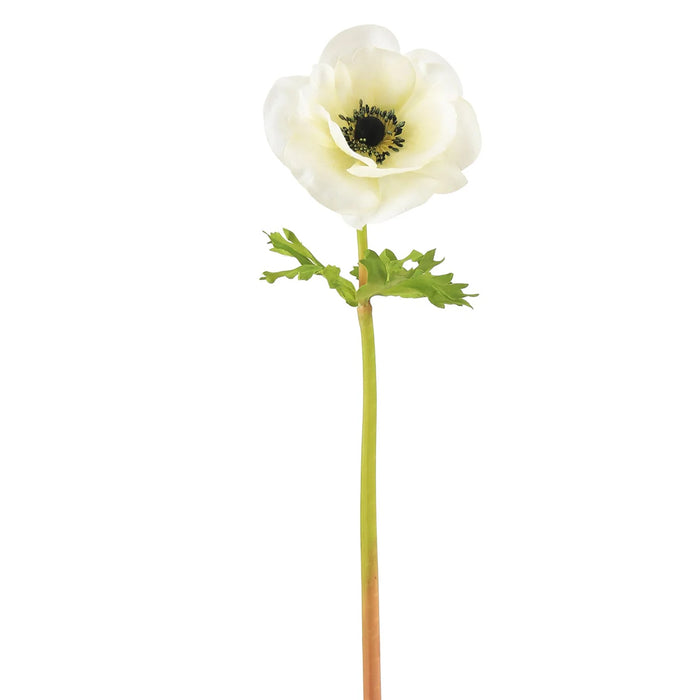 17.5" Poppy Anemone - White