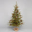 5' Pine Tree w/Pinecones - Green