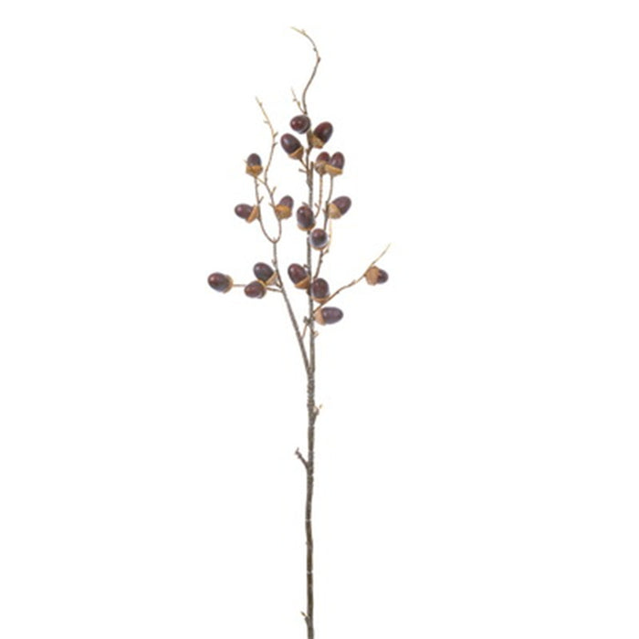 30 in Acorn Spray - Brown