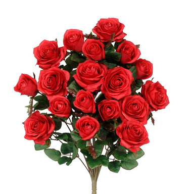 Grandiflora Rose Bush