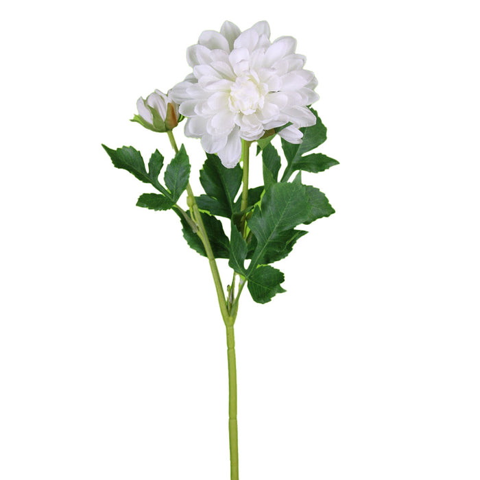 22 in Dahlia Spray