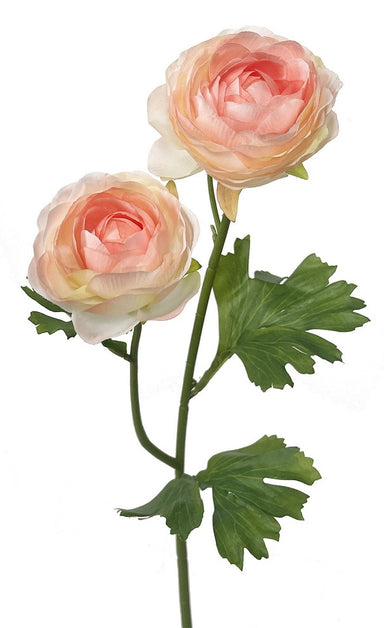 19 in Ranunculus Stem - Cream/Pink