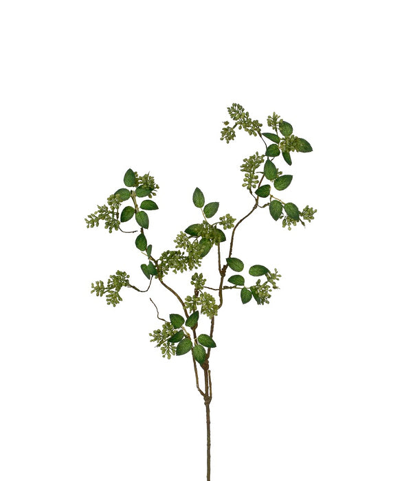 35 in Berry Spray - Green