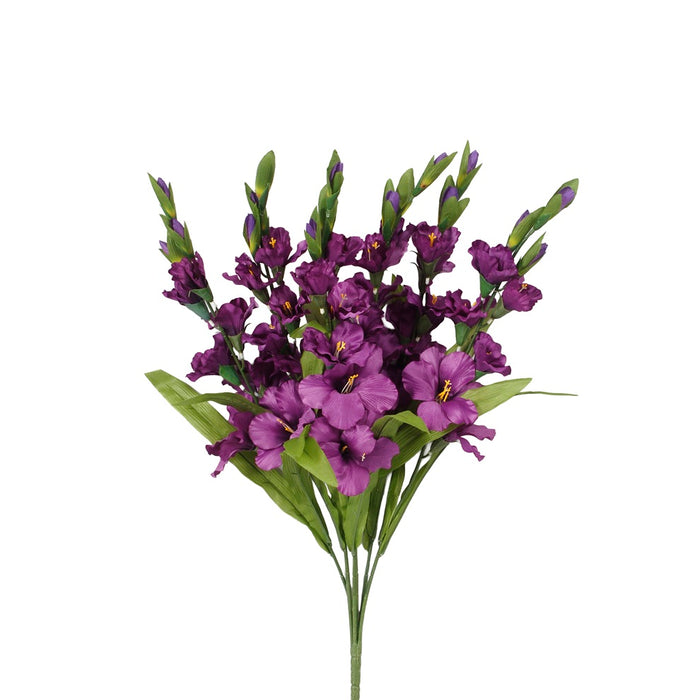 27 in Gladiolus Bush