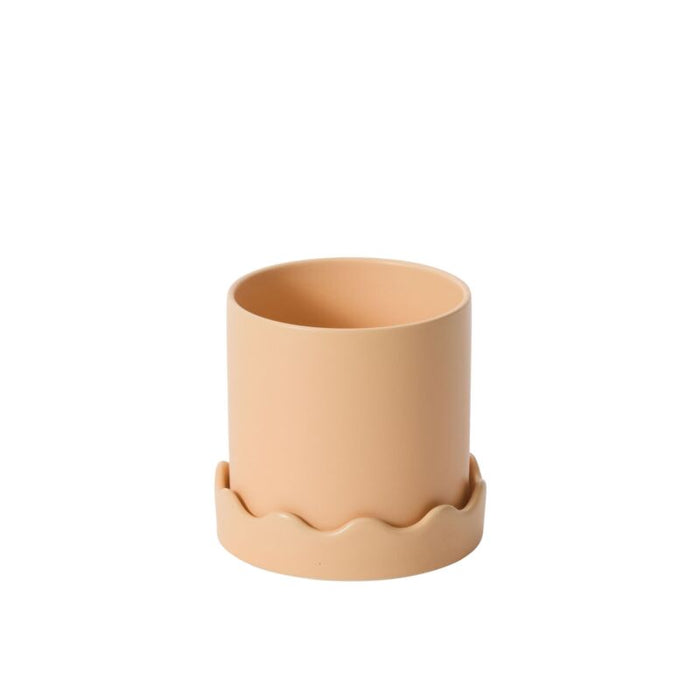 6 in Pissaro Pot with Saucer - Peach