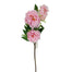 28 in Peony Spray - Pink