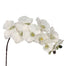 38" Polyester Phalaenopsis