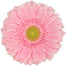Gerbera Pink Bella Rosa