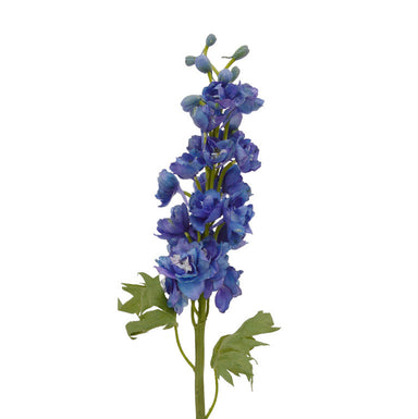 Delphinium Light Blue California