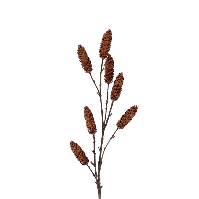 35 in Pinecone Spray - Natural
