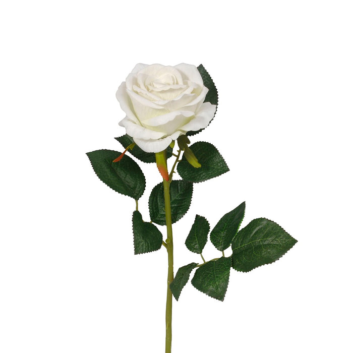 30 in Velvet Rose