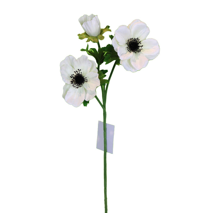 22 in Anemone Spray