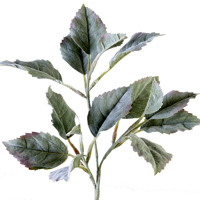 Frosted Leaves Spray