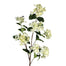 Hydrangea Spray
