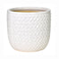 10.5" Ceramic Planter - White