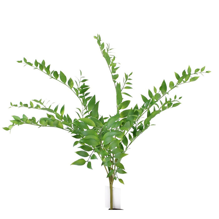 29.5 in Smilax Leaves Bush - Green