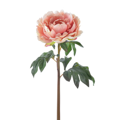 20.5" Peony Stem - Light Mauve