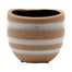 5" Beige Cache with White Stripes