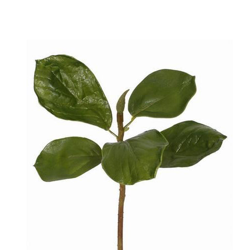 12" Leaf Tree Magnolia Pick - Green