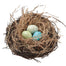 5" In Bird Nest With Eggs