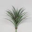 20"L Pe Pandan Leaf Plant - Purple/Green