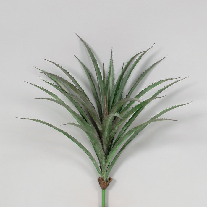 20"L Pe Pandan Leaf Plant - Purple/Green