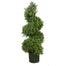 33" Boxwood Spiral Tree