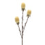 29 in Mum Bud Spray