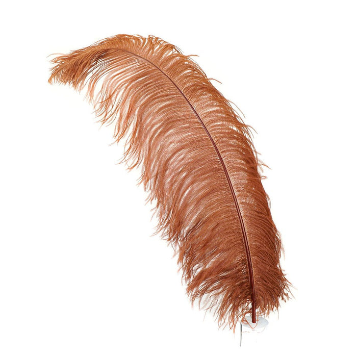 Ostrich Feathers