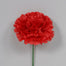 Single Carnation Head Pick- 100pcs/box