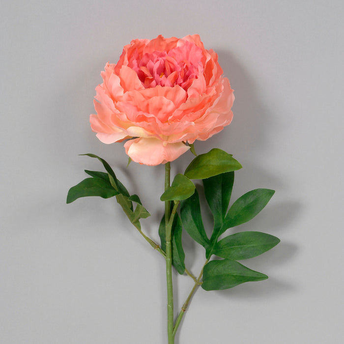 28" Polyester Large Cabbage Peony - Coral