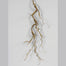 Faux Moss Covered Foam Twig Garland