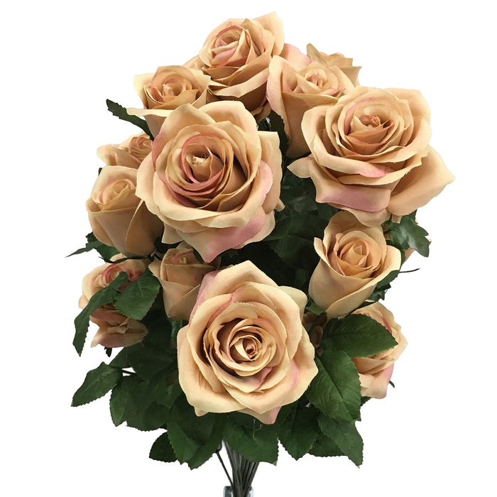 Grandiflora Rose Bush