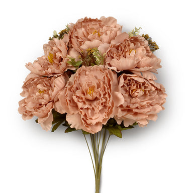 Peony Bush & Filler - Dusty Peach