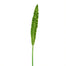 37" Bird Nest Fern Leaf Stem - Green