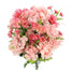 Peony/Gerber Daisy/Hydrangea/Daisy Bush - Pink Mix