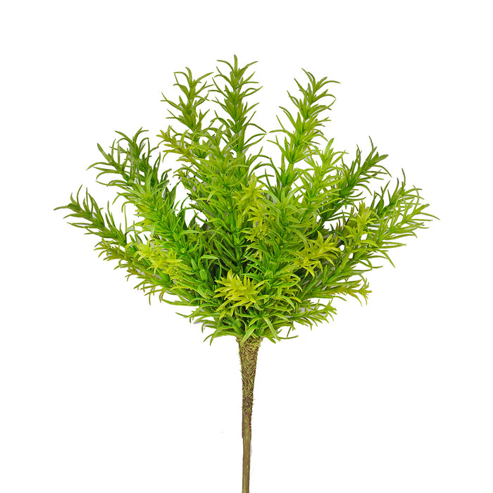 13" in Rosemary Bush - Green