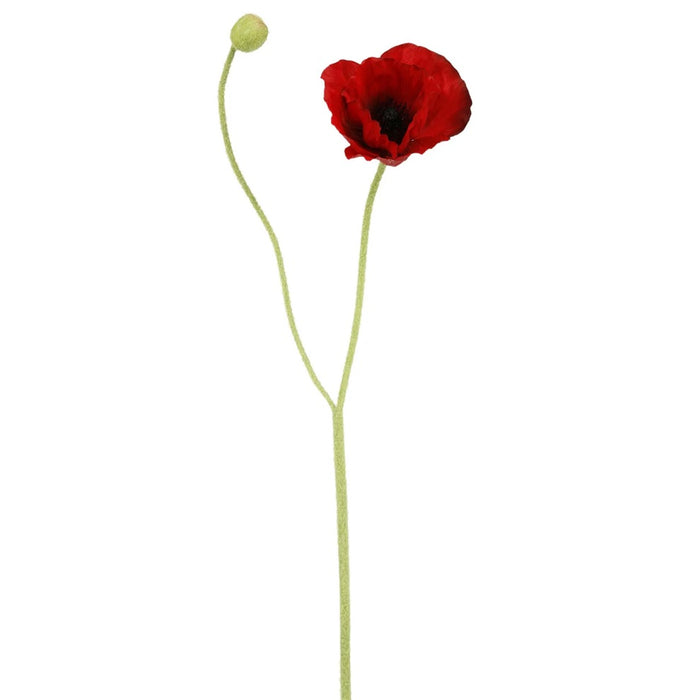 24" Iceland Poppy Short Stem - Red