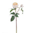 English Rose Short Stem - Beige