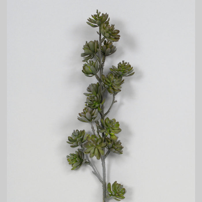 22" Succulent Spray X 18 - Dark Green